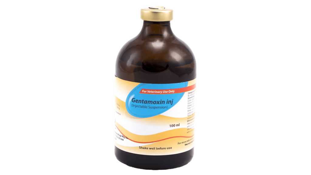Gentamoxin