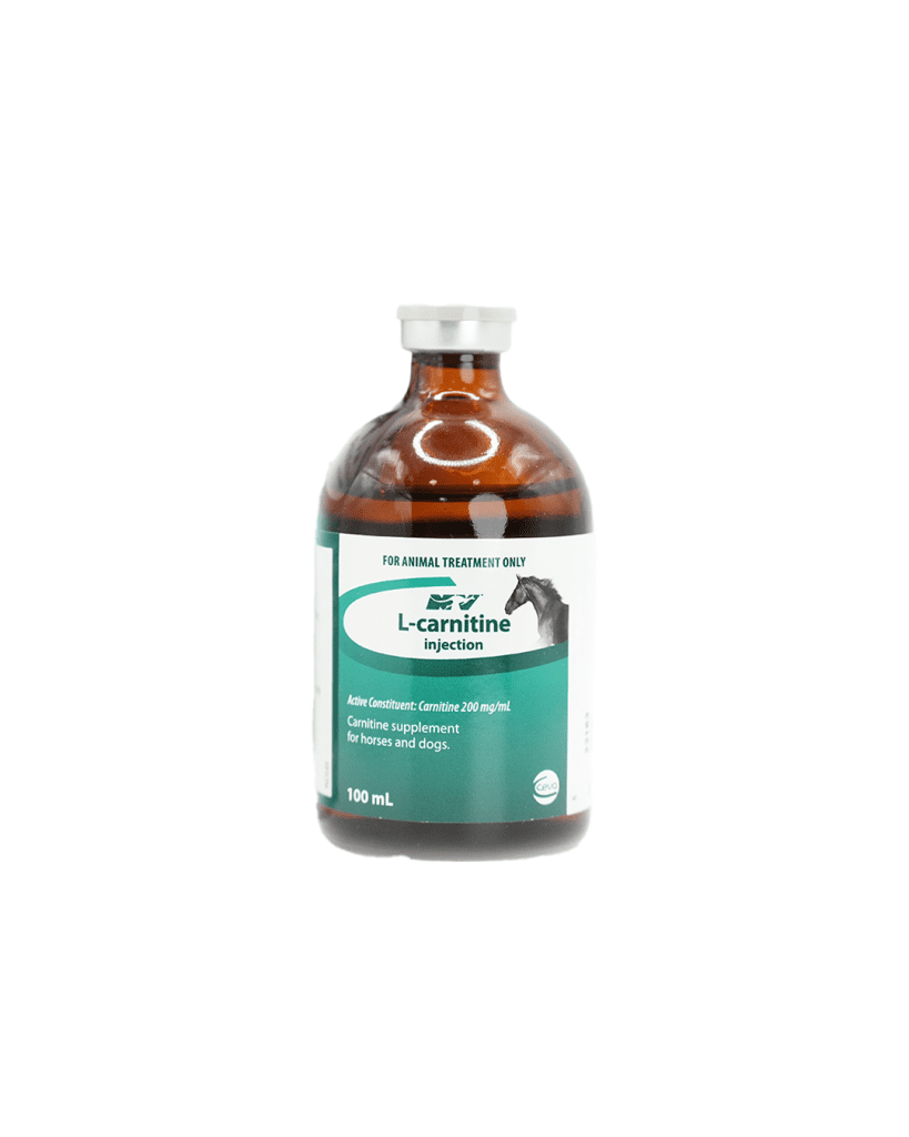 L-Carnitine Inj