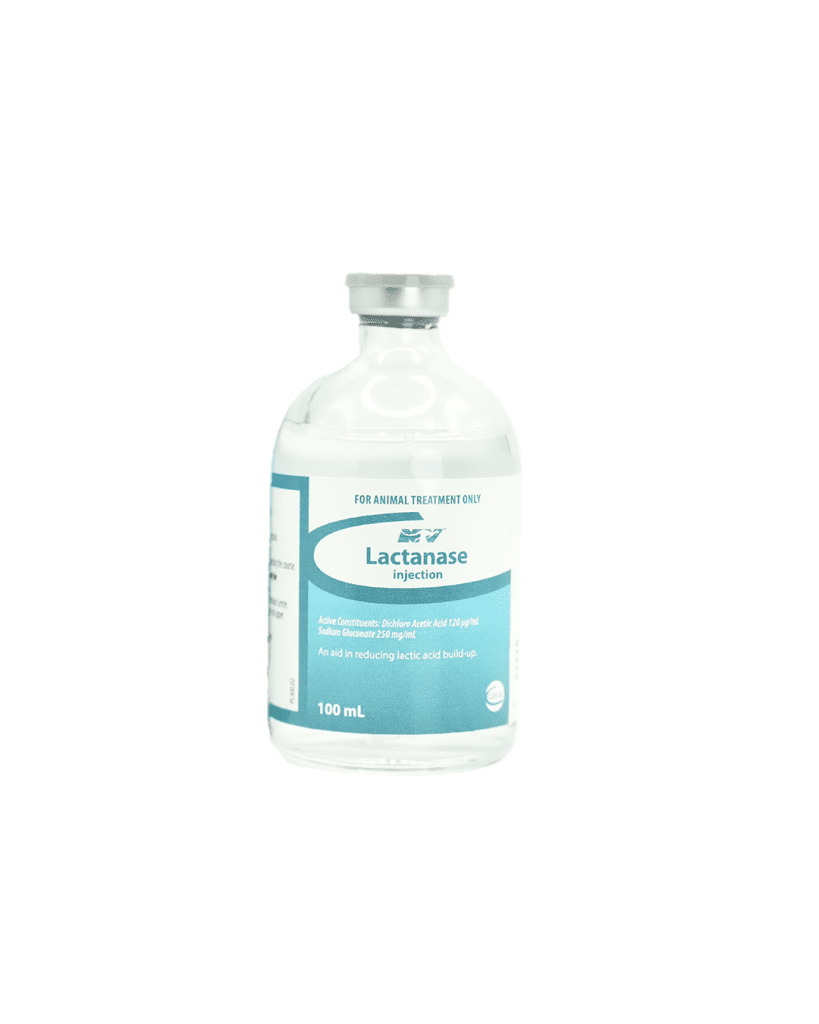 Lactanase Inj.