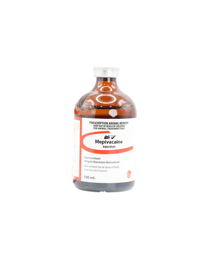 MEPIVACAINE INJ