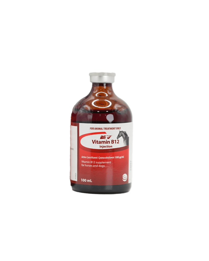 VITAMIN B12 INJ