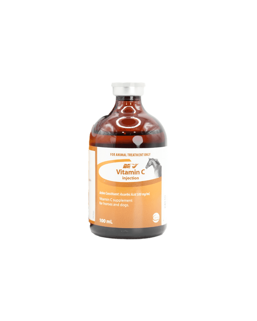 VITAMIN C INJ